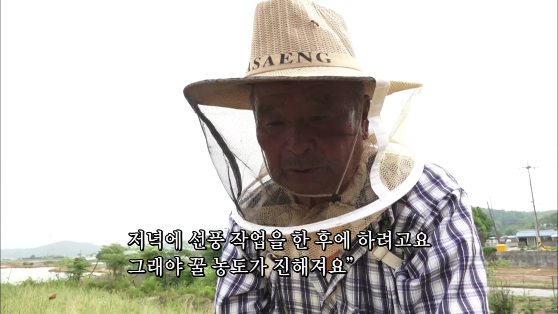두 번째 밀월지에서 뽑은 꿀, 꿀색에 실망하는 홍열 할아버지 | ZUM TV