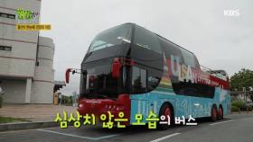 울산을 한 눈에 담을 수 있는 오픈카!