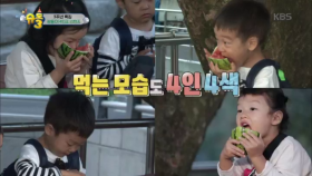 쌍둥이 4인조, 수박 먹는 모습도 4인 4색