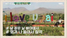 빠이 인증샷 명소 컨테이너 카페!