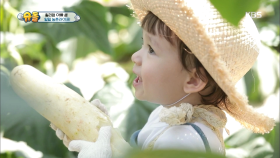 생애 첫 오이 수확에 나선 윌리엄!