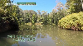 아름답고 신비한 대자연 쿠란다 국립공원에 입성