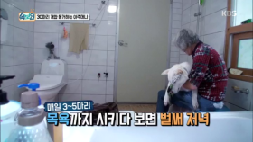 매일 3~5마리 목욕만 시켜도 시간이 훌쩍 지나는 하루!