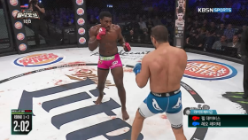 [라이트헤비급] 필 데이비스 VS 레오 레이터 1R ＜벨라토르＞