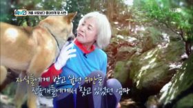 진돗개들에게서 삶의 위안의 얻고 있는 엄마, 화이팅입니다!