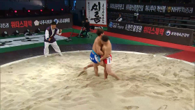 2017 천하장사씨름대축제 한라장사(-108kg) 8강 3경기 - 박동환(부산갈매기) VS 이영호(부산갈매기)