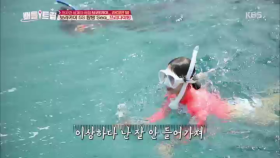 파닥파닥~ 7파닥~ 바다에서 자롭게 프리 다이빙!