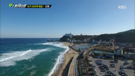 VJ가 되어주세요! - 강릉에서 즐기는 ‘바다열차‘