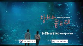 [예고] 돌고래랑 결혼 할겁니다!, 참치와 돌고래 ＜2018 KBS 드라마 스페셜＞
