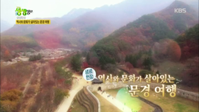 역사와 문화가 살아있는 문경 여행