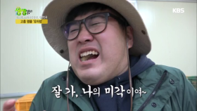 잘 가, 나의 미각이여~ 고흥 명물 유자청!