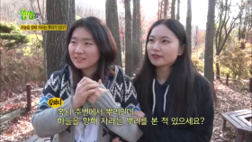 하늘을 향해 자라는 뿌리가 있다?!