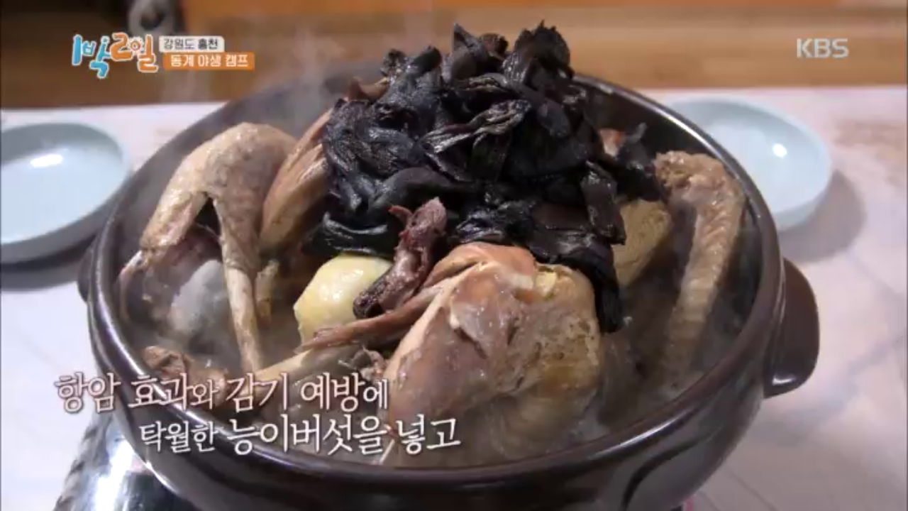 건강보양식☆ 푹 삶아낸 능이버섯백숙♨ : TV줌 건강보양식☆ 푹 삶아낸 능이버섯백숙♨