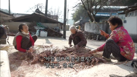 주변 할머니의 부러움을 한 몸에 받는 순춘 할머니