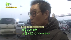 싱싱한 홍어의 경매 가격은 과연 얼마?