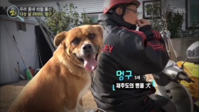 우리 동네 리얼 통신 - 다섯 살 라이더, 멍구