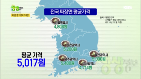 전국 짜장면 평균가격 5,017원! 짜장면 한 그릇의 가격은?