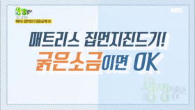 매트리스 집먼지진드기! 굵은소금이면 OK!