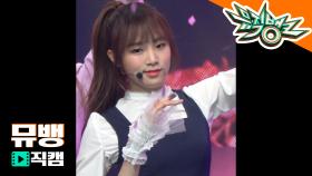 아이즈원(IZ*ONE) 최예나 - 비올레타 (Violeta) / 190412 뮤직뱅크 직캠