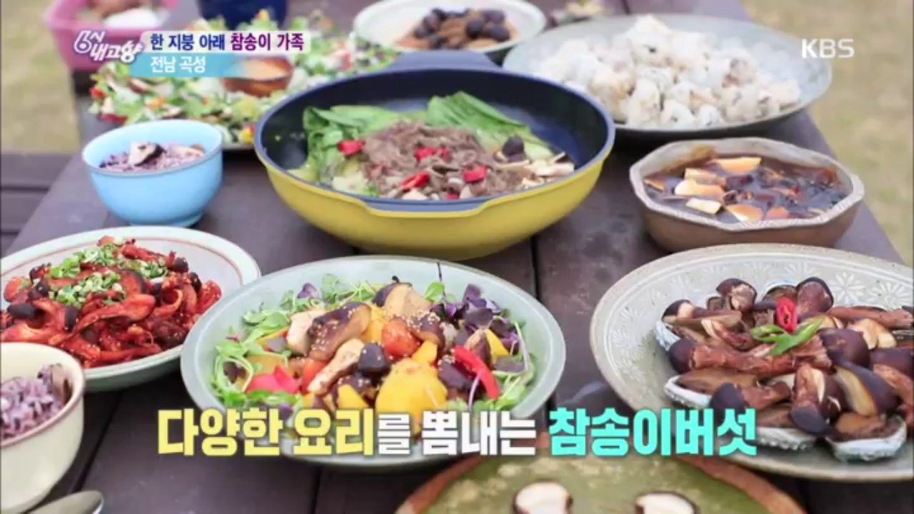 한 지붕 아래 참송이 가족 참송이버섯- 전남 곡성 | ZUM TV