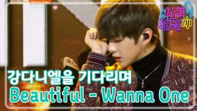 [강다니엘을 기다리며 워너원 노래 모음] Beautiful- Wanna One
