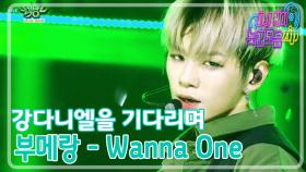 [강다니엘을 기다리며 워너원 노래 모음] 부메랑- Wanna One