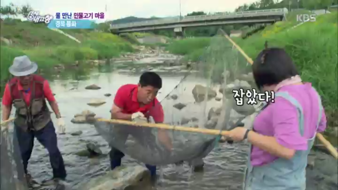 물 만난 민물고기 마을 - 경북 봉화 | ZUM TV