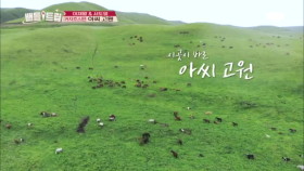 이곳이 바로 카자흐스탄의 최애 장소 ‘아씨 고원’