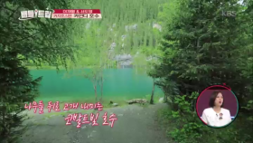 영롱한_빛깔에 빠져드는 코발트빛 카인디 호수