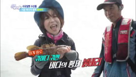 [수요일엔 수산물] 귀하디 귀한 바다의 황제 붉바리