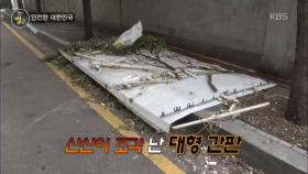 [안전한 대한민국] 강풍으로 인한 위험요소 중 하나 간판