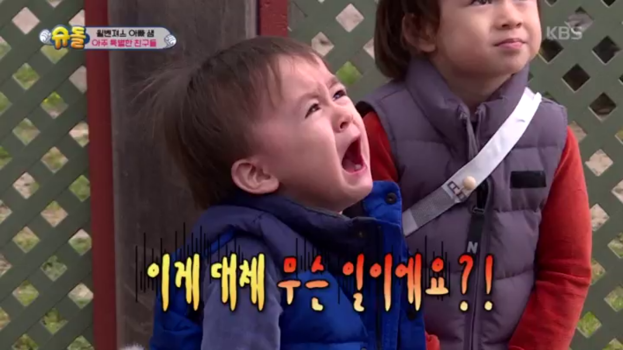 요동치는 효틀이!! 우째 이런일이 | ZUM TV