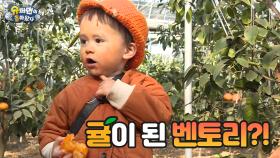 슈퍼맨이 돌아왔다 307회 티저 - 윌벤져스네