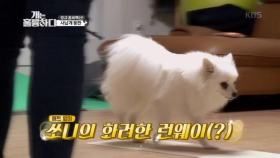 좋은 시절 빠이~ 매트 없이 쏘니의 화려한 런웨이(?)