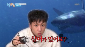 상어산적? 한국에 상어가 있어요?!