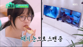 애완청소기 2대에 TV도 2대장비(?) 부자 유리의 달인 찾기