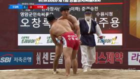 한라급 4강 오창록 vs 이주용 [2020영월장사씨름대회]