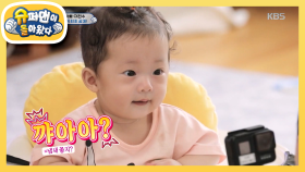 다둥이 아빠 이천수의 마지막 만찬