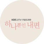 하나뿐인 내편