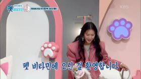 오늘의 주인공! 치어리더 여신 박기량과 스타견 몽이 | KBS 210107 방송