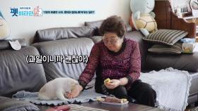 기량이 외출한 사이.. 몽이에게 네버엔딩 간식 주는 할머니 | KBS 210107 방송