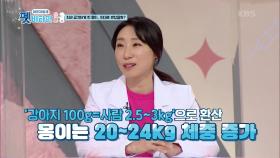 강아지의 100g은 사람으로 치면 몇 kg? | KBS 210107 방송