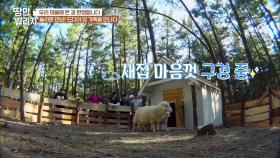 ‘땅만 빌리지에 온걸 환영해~♥’ 새로 만든 집으로 합류한 양 가족 | KBS 210107 방송