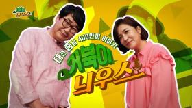 대전 세종 충남 400만의 이야기 거북이늬우스 / KBS대전 20201230 방송 [다시보기] | KBS 201210 방송