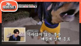 산책길은 고행길ㅠ 고막 파괴 형제! 사랑이 & 복돌이 | KBS 210111 방송