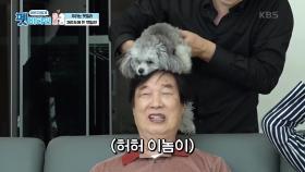 애교 뿜뿜! 온 가족의 연결고리 겨울이♥ | KBS 210114 방송