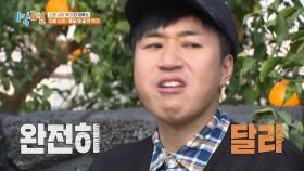 제주도(?) 한라봉 농장에서 펼쳐진 김종민의 한라봉 먹방쇼 | KBS 210117 방송