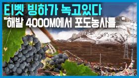 중국도 기후변화 몸살, 티벳 빙하가 녹고 있다 KBS 201121 방송