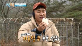 [미공개 영상] 굶주림에 지쳐 흙 묻은 무 폭풍 섭취ㅋㅋㅋ [1박 2일 시즌4] | KBS 방송