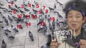 따라 부를 수밖에 없는 마성의 노래 ‘비둘기’ (ft. 춘천은 닭갈비!!) | KBS 201029 방송